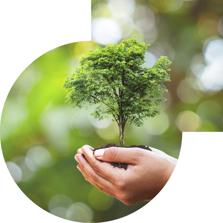 关怀人类、文化、环境与社会