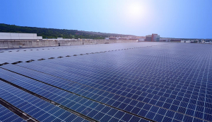 中美硅晶与好体育官方app下载光电携手战略合作