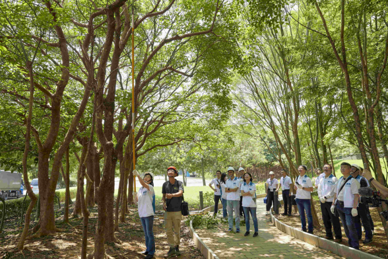 藝師教導大家認識樹木、檢查樹的健康狀況，學習修枝及碎枝覆土